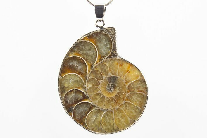 Fossil Ammonite Pendant - Million Years Old #306451